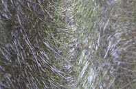 Causewayhead fibreglass roof work